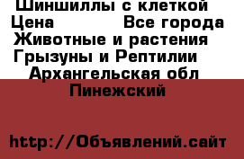 Шиншиллы с клеткой › Цена ­ 8 000 - Все города Животные и растения » Грызуны и Рептилии   . Архангельская обл.,Пинежский 